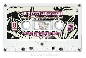 Auto Bruce Lemon Diesel - Super Sativa Seed Club - 4