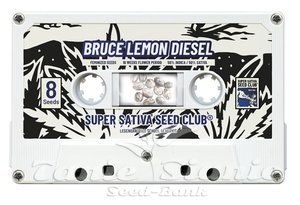 Bruce Lemon Diesel - Super Sativa Seed Club - 4