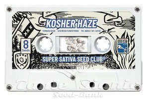 Kosher Haze - Super Sativa Seed Club - 4