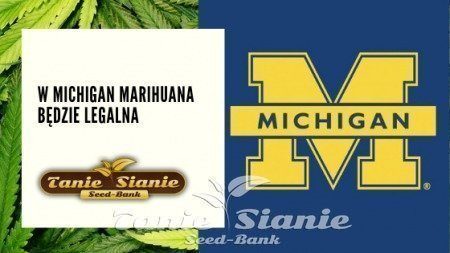 W Michigan marihuana będzie legalna