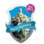 ROYAL QUEEN SEEDS - Royal Highness CBD