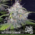 SHORT STUFF SEEDBANK - Auto Bud Cannon