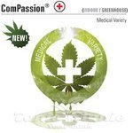 DUTCH PASSION - CBD ComPassion