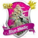ROYAL QUEEN SEEDS - Blue Mistic®