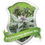 ROYAL QUEEN SEEDS - Autoflowering Outdoor Mix®