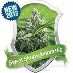 ROYAL QUEEN SEEDS - Sweet Skunk Automatic