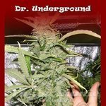 DR UNDERGROUND - Crystal M.E.T.H.