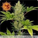 BARNEY’S FARM - Blue Cheese Auto