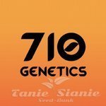 710 GENETICS - Tropical Berry