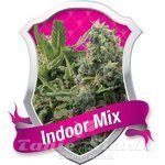 ROYAL QUEEN SEEDS - Indoor Mix®