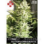 PURE SEEDS - THC Autofloreciente