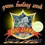 GREEN FANTASY SEEDS - Auto Big Dane