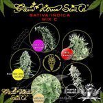 GREEN HOUSE SEEDS - Sativa/Indica Mix C