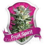 ROYAL QUEEN SEEDS - Fruit Spirit®