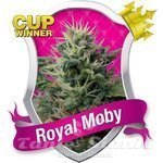 ROYAL QUEEN SEEDS - Royal Moby®