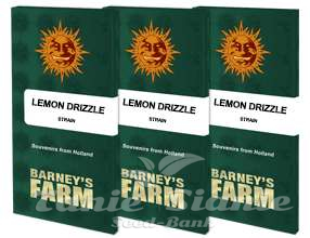 Lemon Drizzle - BARNEY'S FARM - 2