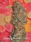Fruitylicious - MANDALA SEEDS