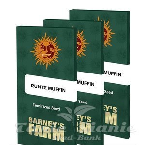 Runtz Muffin - BARNEY'S FARM - 8