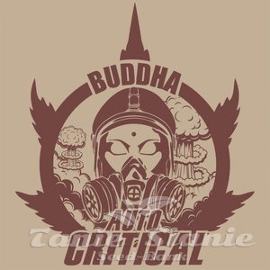 Buddha Auto Critical - BUDDHA SEEDS - 2