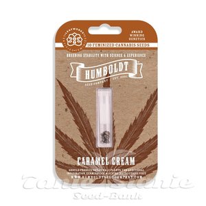 Caramel Cream - HUMBOLDT SEEDS COMPANY - 4