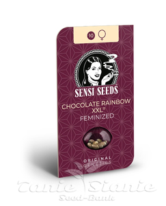 Chocolate Rainbow XXL - SENSI SEEDS - 2