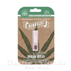 Dream Queen - HUMBOLDT SEED COMPANY - 3