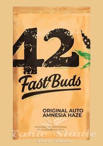 Original Auto Amnesia Haze - FASTBUDS - 2