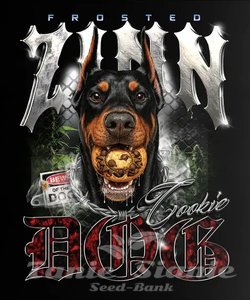 Frosted Zinn x Cookie Dog Auto - BARNEY'S FARM - 1