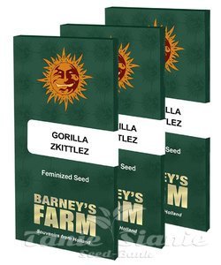 Gorilla Zkittlez - BARNEY'S FARM - 5