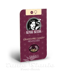 Grapevine Candy - SENSI SEEDS - 2