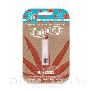 Hi-Biscus - HUMBOLDT SEED COMPANY - 2