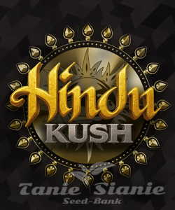 Hindu Kush - BARNEY'S FARM - 1