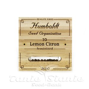 Lemon Citron - HUMBOLDT SEED - 2