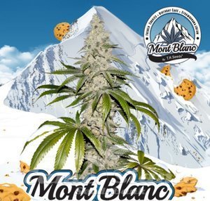 Mont Blanc - T.H. Seeds - 1