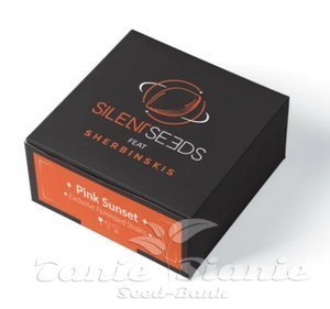 Pink Sunset - SILENT SEEDS - 2