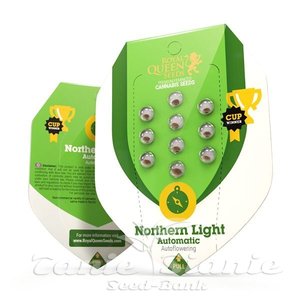 Northern Light Automatic - ROYAL QUEEN SEEDS - 3