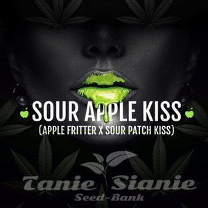 Sour Apple Kiss - ELEV8 SEEDS - 2