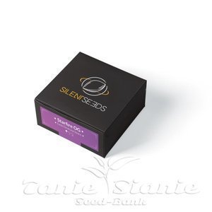Starfire OG - SILENT SEEDS - 2