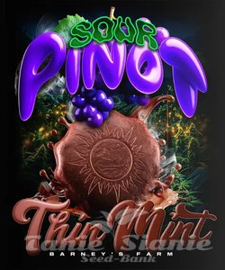 Thin Mint x Sour Pinot Auto - BARNEY'S FARM - 1