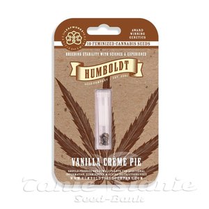 Vanilla Créme Pie - HUMBOLDT SEED COMPANY - 5