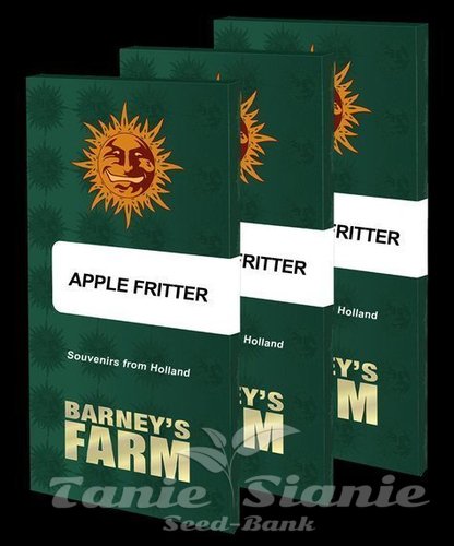 Nasiona Marihuany Apple Fritter - BARNEY'S FARM