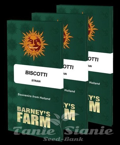 Nasiona Marihuany Biscotti - BARNEY'S FARM