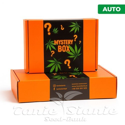 Mystery Box - automatyczne nasiona marihuany