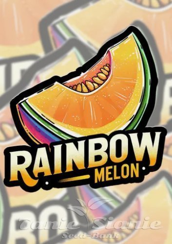 Nasiona Marihuany Rainbow Melon - FASTBUDS