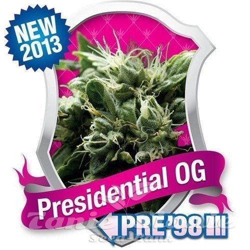 Nasiona Marihuany Presidential OG - ROYAL QUEEN SEEDS