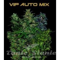 Nasiona Marihuany VIP Auto Mix - VIP SEEDS