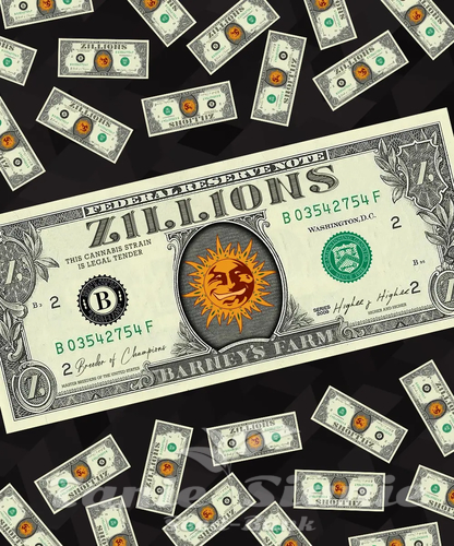 Nasiona Marihuany Zillions - BARNEY'S FARM