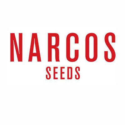 Narcos Seeds