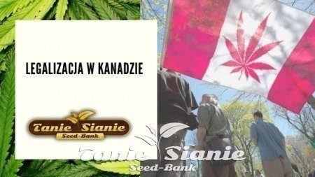 Legalizacja w Kanadzie