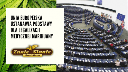 Unia Europejska ustanawia podstawy dla legalizacji medycznej marihuany